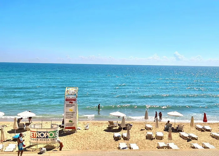 Cactus Apartamento *